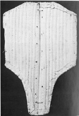 Stomacher